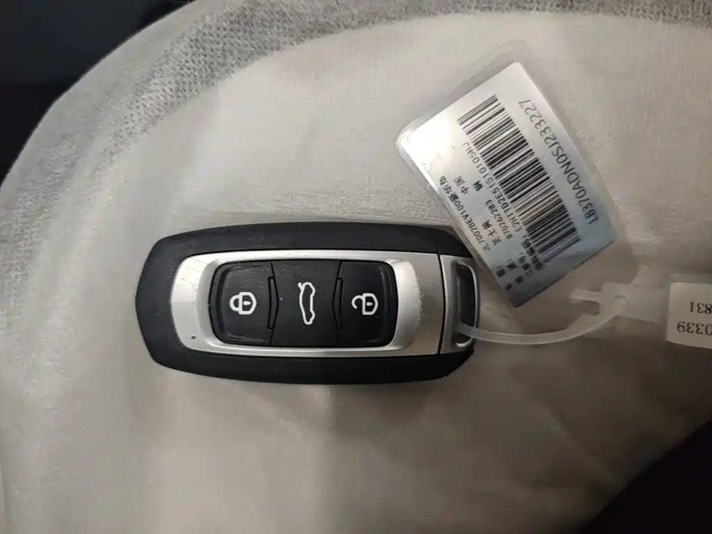 Geely Galaxy Panda 2026 2025 Panda mini 210km Vitality Bear