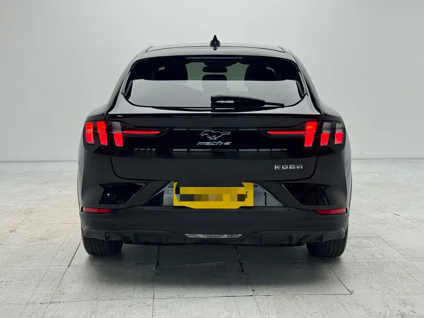 Ford Mustang Mach-E 2022 2021 Leap World RWD (Standard Range)