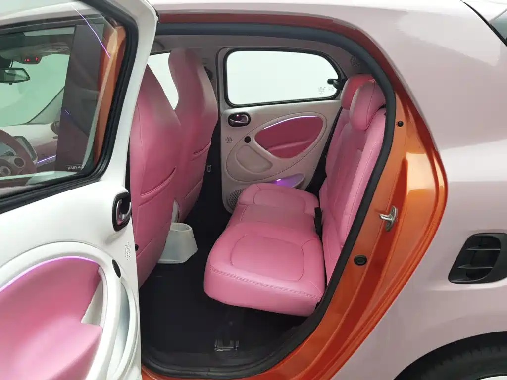Photo 15 - smart forfour