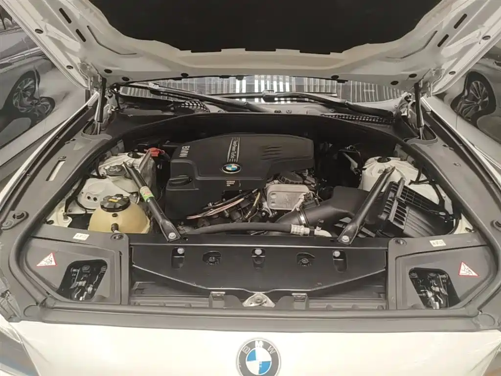 BMW 5 Series 2014 525Li Fashion Design Package фото 20