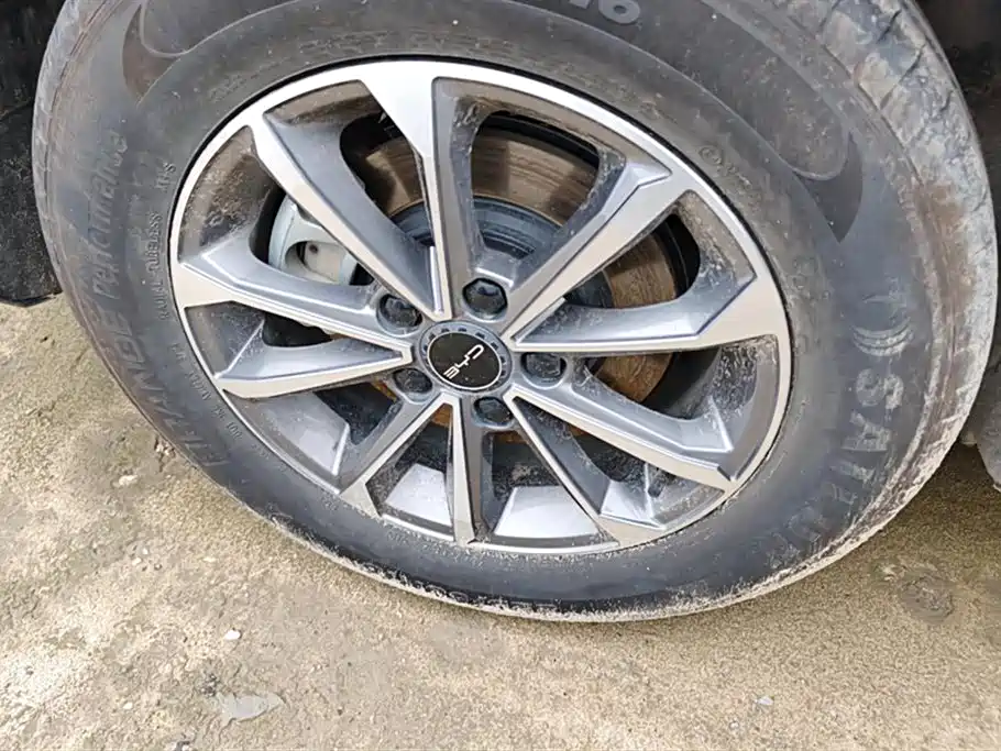 BYD Destroyer 05 2024 Glory Edition DM-i 55KM Luxury фото 6