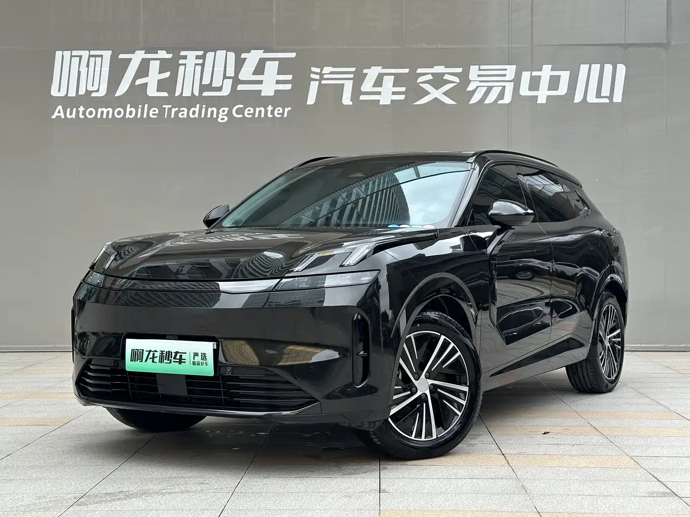 Lynk & Co 08 EM-P 2023 220km 4WD Performance Halo фото 14