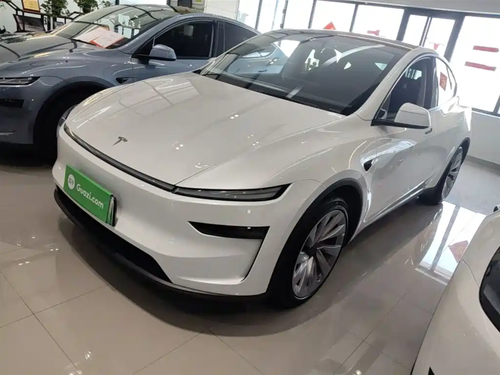 Tesla Model Y 2025 Long Range All-Wheel Drive