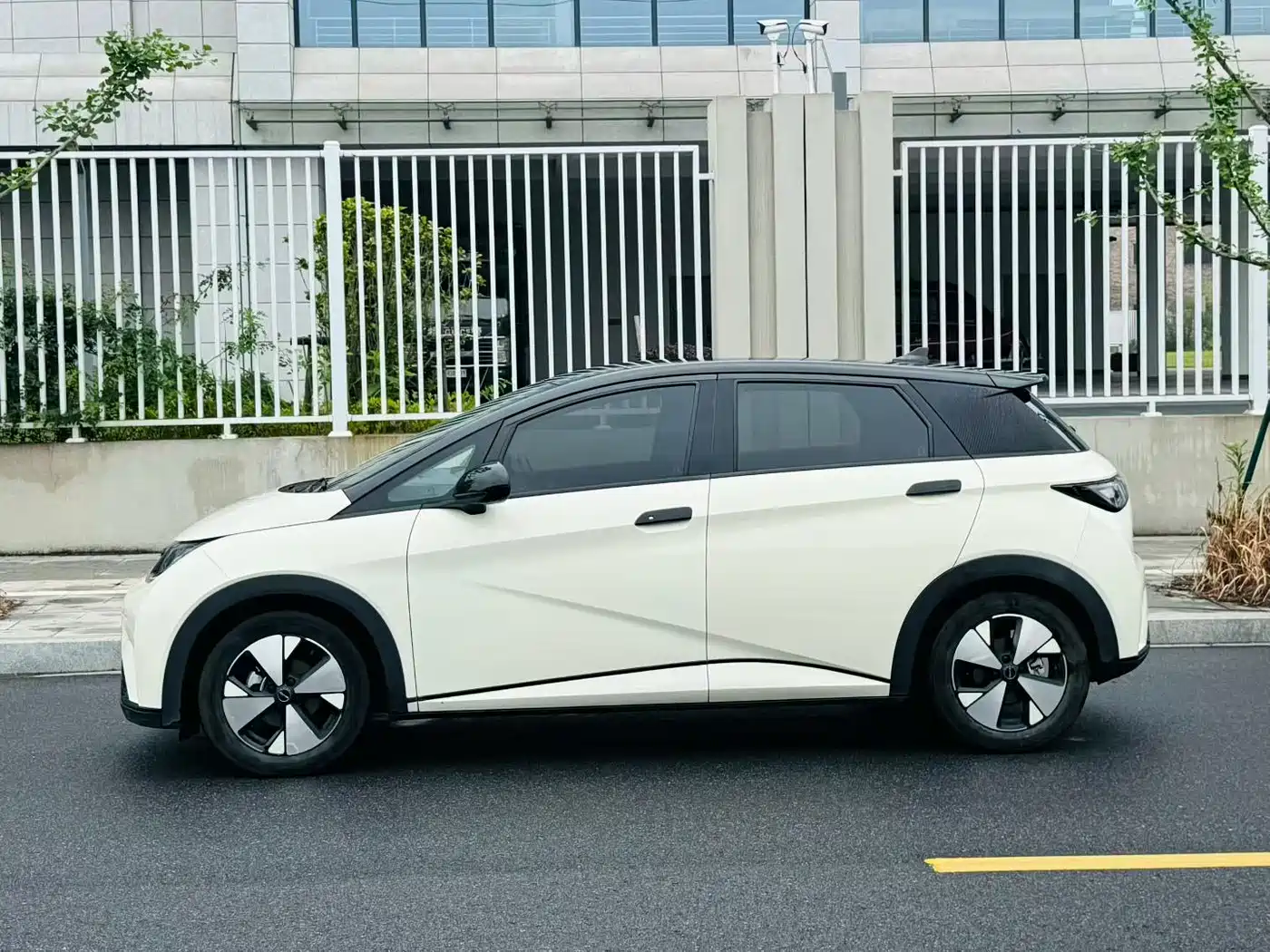 BYD Dolphin 2023 420km Fashion Edition фото 2