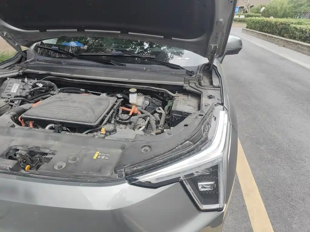 Haval Xiaolong 2024 2023 1.5L 110KM Leading Edition
