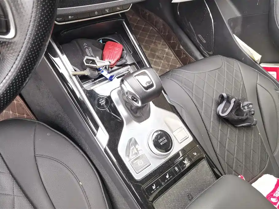 Hongqi HS5 2019 2.0T Smart Connect Enjoy 4WD Edition фото 16