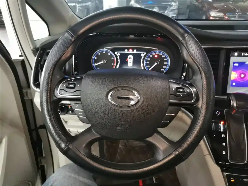 GAC Trumpchi Trumpchi M8 2020 Pilot 390T Luxury Edition фото 11