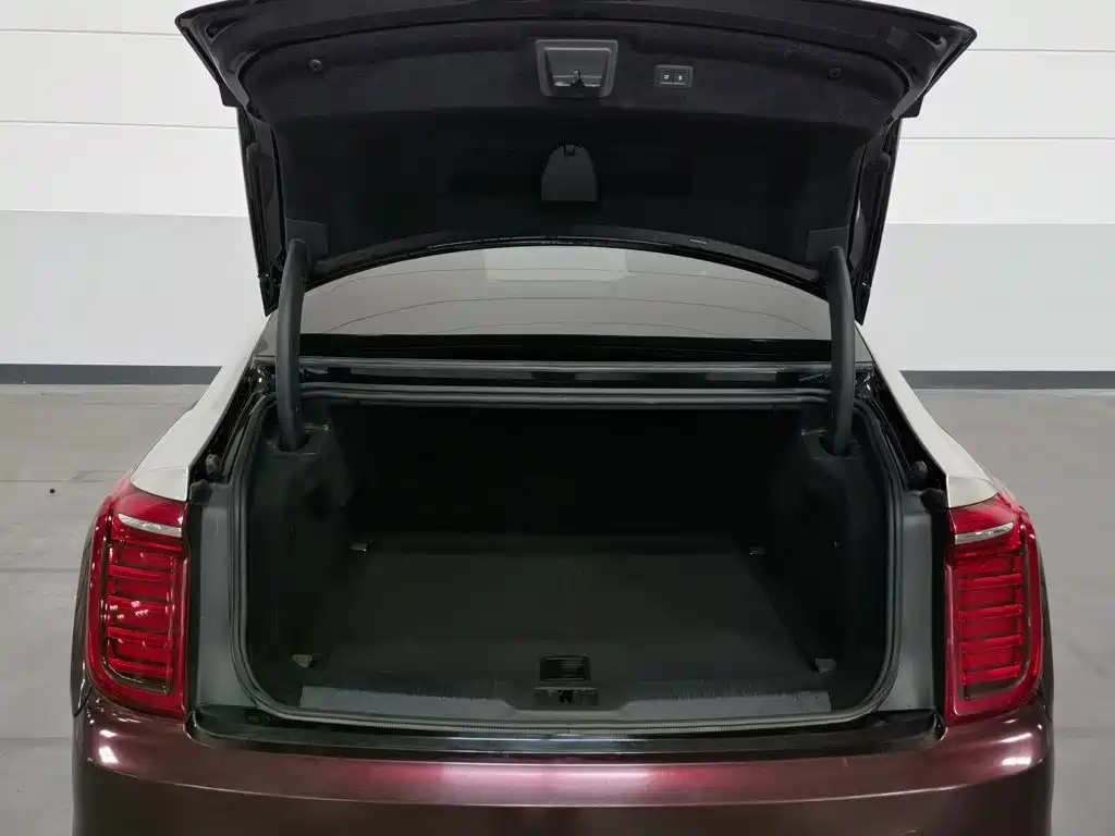 Photo 16 - Hongqi H9
