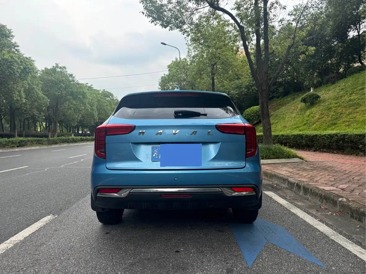 Haval First Love 2021 2021 1.5T Automatic Premium Edition