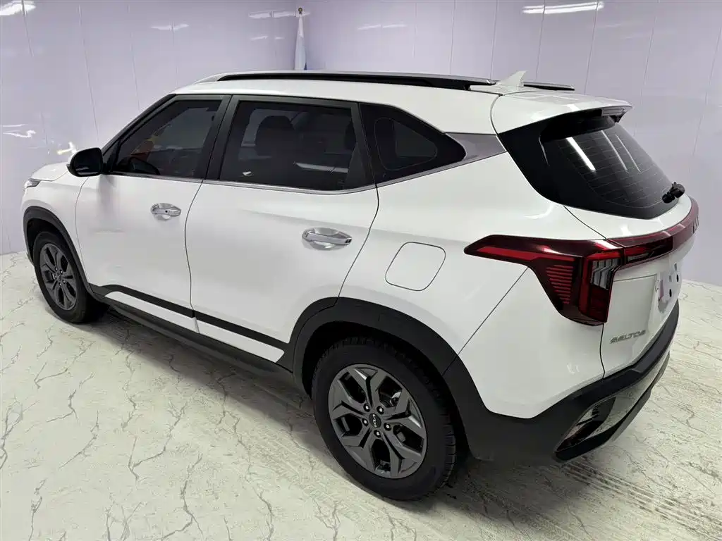 Kia Seltos 2023 1.5L CVT Luxury Edition фото 5