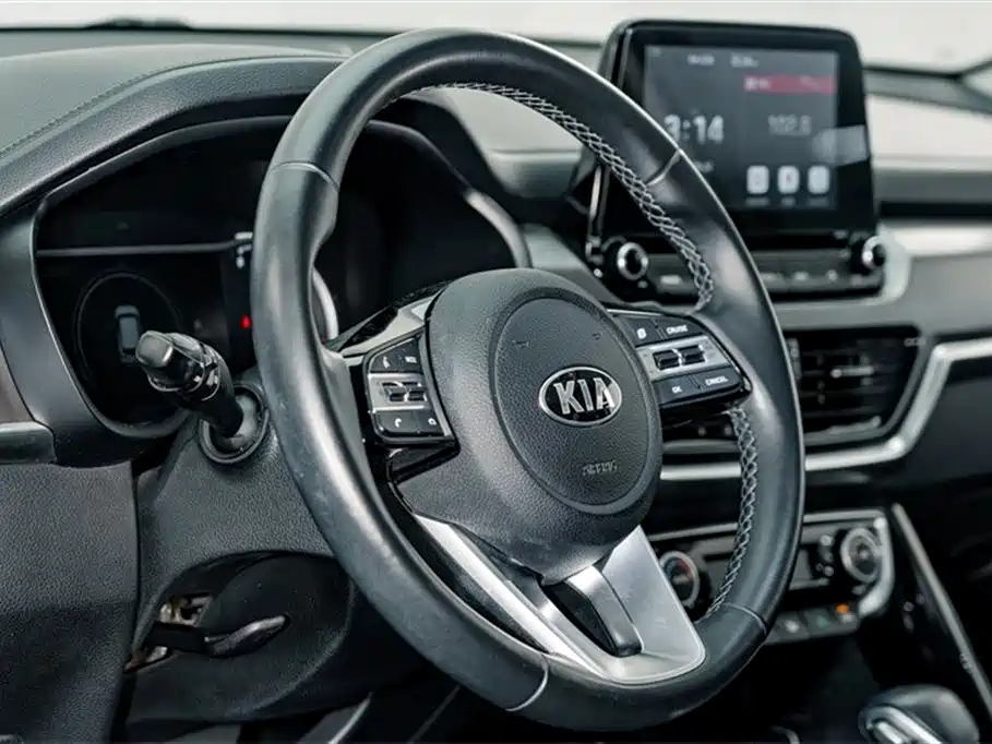 Kia Sportage 2019 2.0L Automatic Smart Luxury Edition фото 9