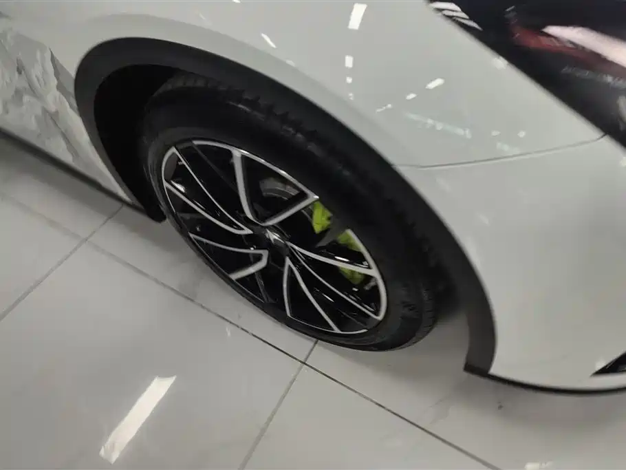 ARCFOX EXTREME FOX POLAR FOX ALPHA S5