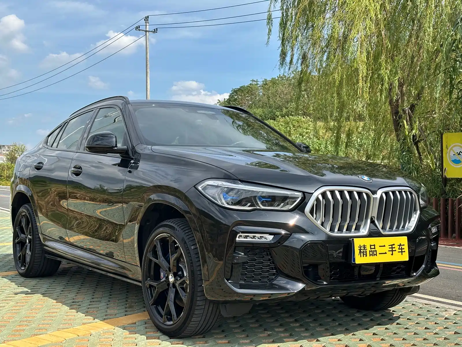 Photo 3 - BMW X6