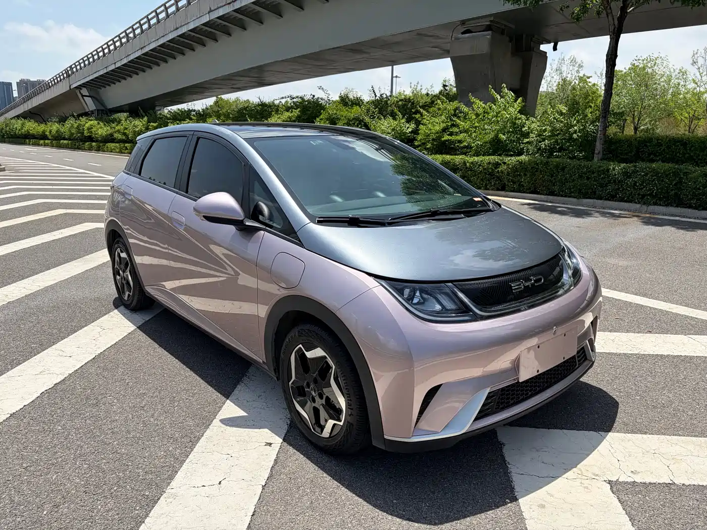 BYD Dolphin 2021 Model 405km Fashion Edition фото 3