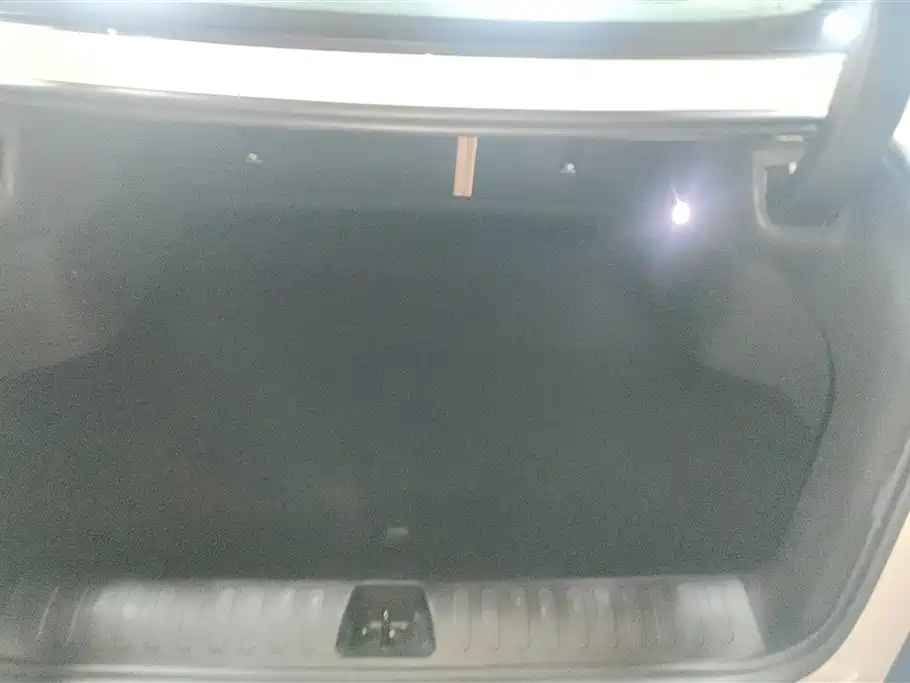 ARCFOX EXTREME FOX POLAR FOX ALPHA S5