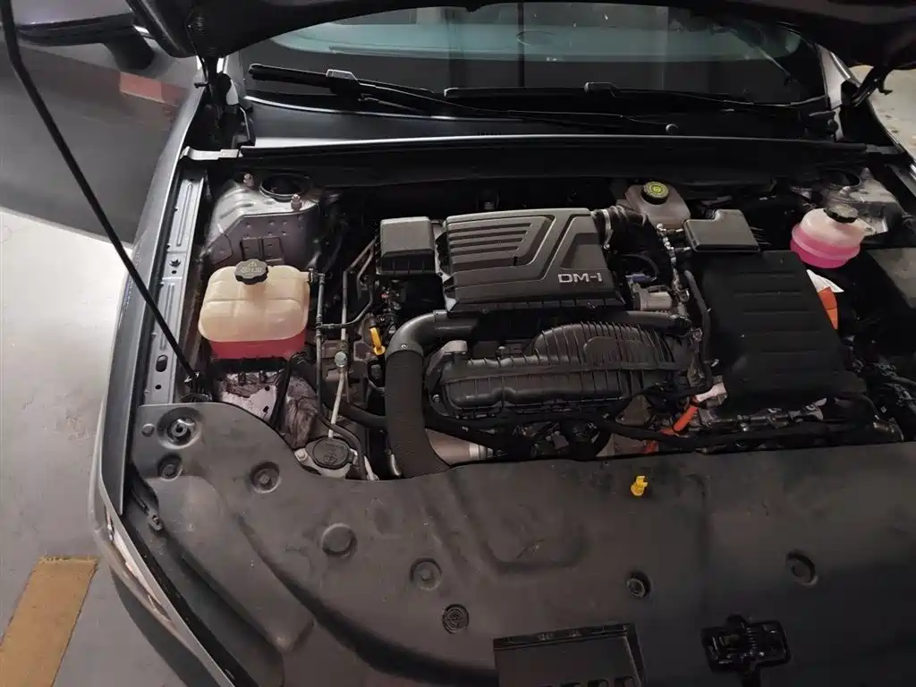 BYD Qin PLUS 2021 DM-i 55KM Flagship фото 21