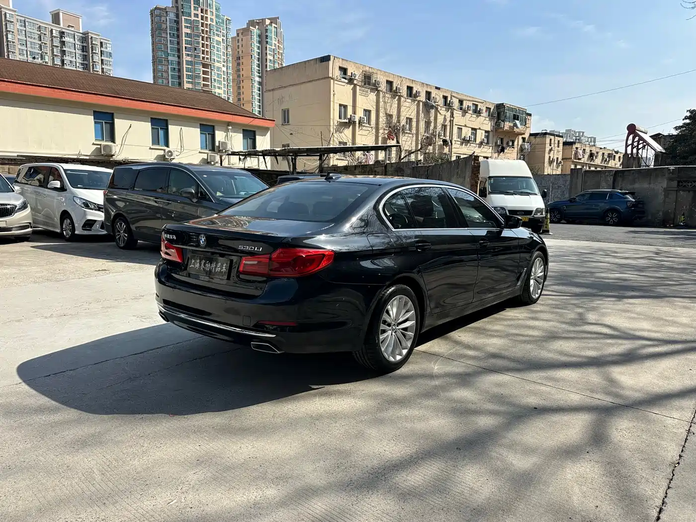 BMW 5 Series 2020 530Li Leading Luxury Package фото 4