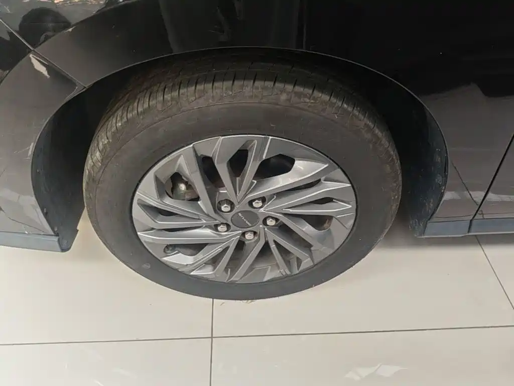Фото 23 - Maxus Maxus G50