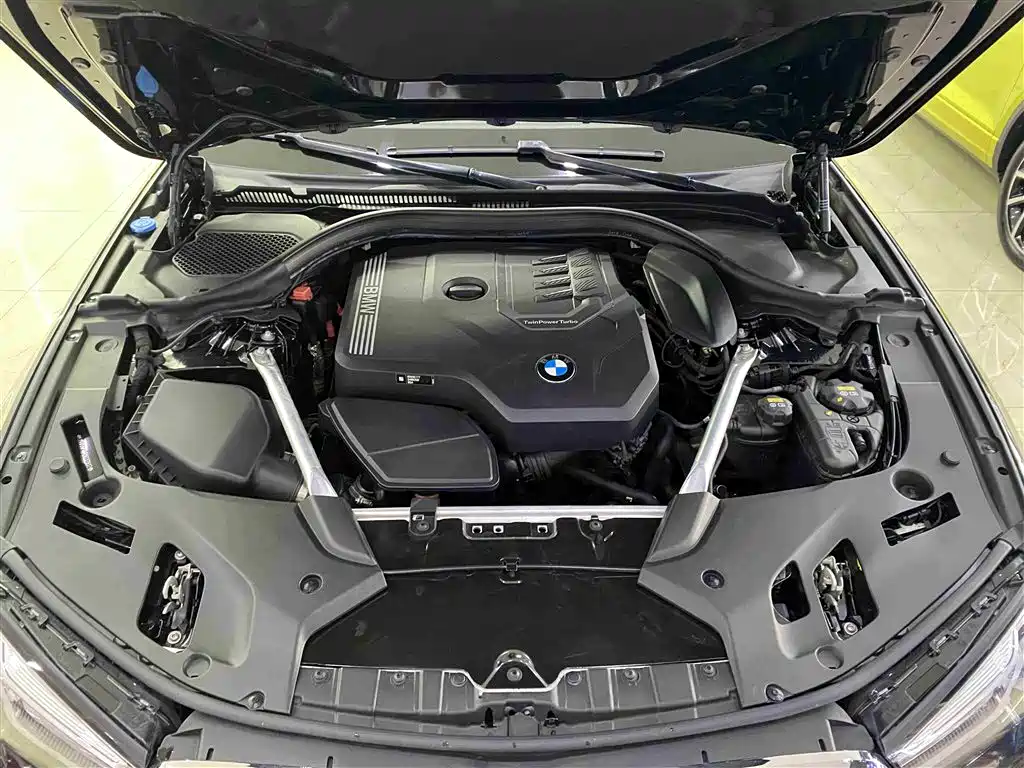 BMW 5 Series 2021 530Li Leading Luxury Package фото 13