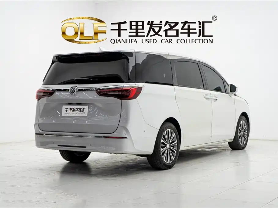 Buick GL8 2022 ES Landmark 653T Luxury фото 6