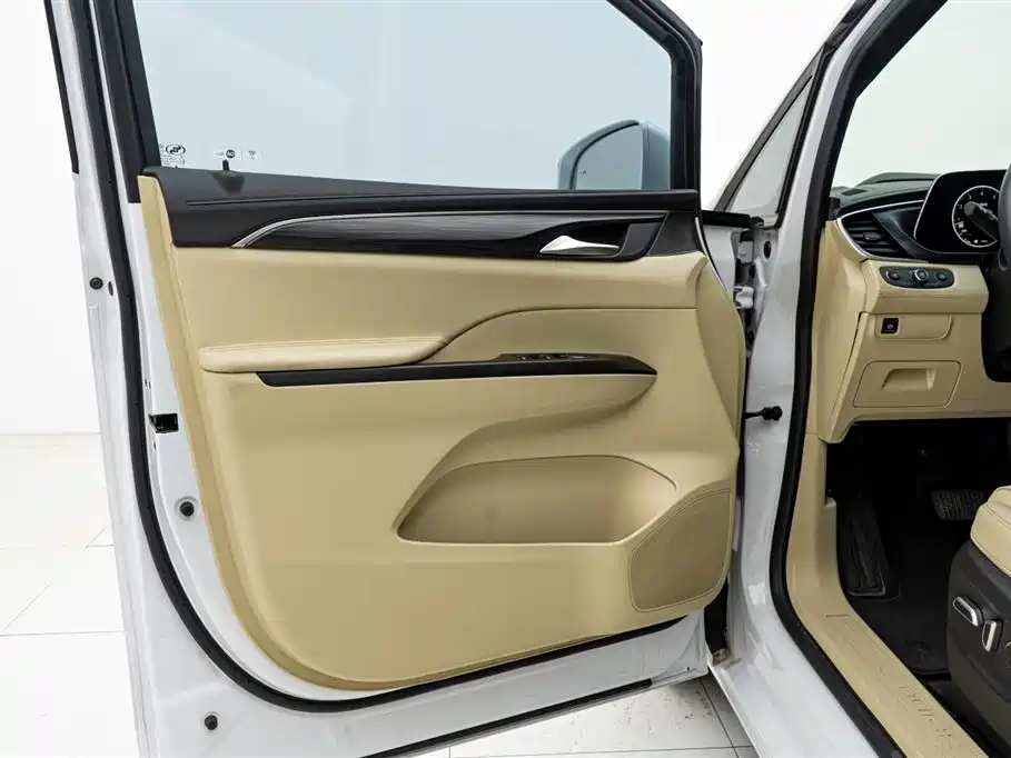 Buick GL8 2022 ES Landmark 653T Luxury фото 15