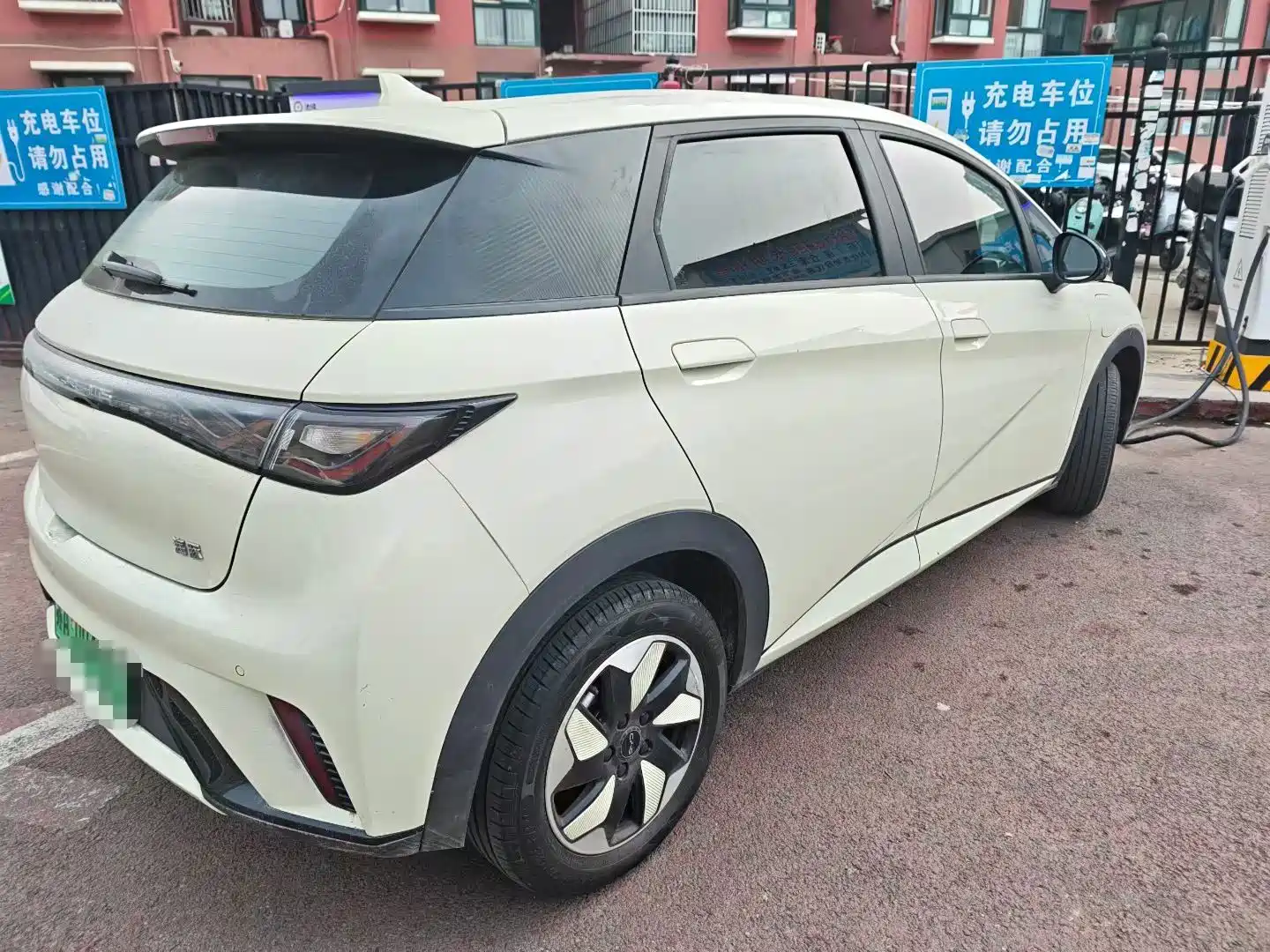 Фото 4 - BYD Dolphin