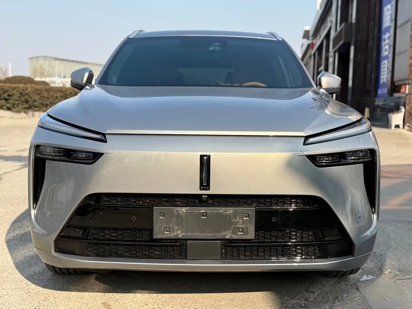 WEI PAI WEI BRAND BLUE MOUNTAIN