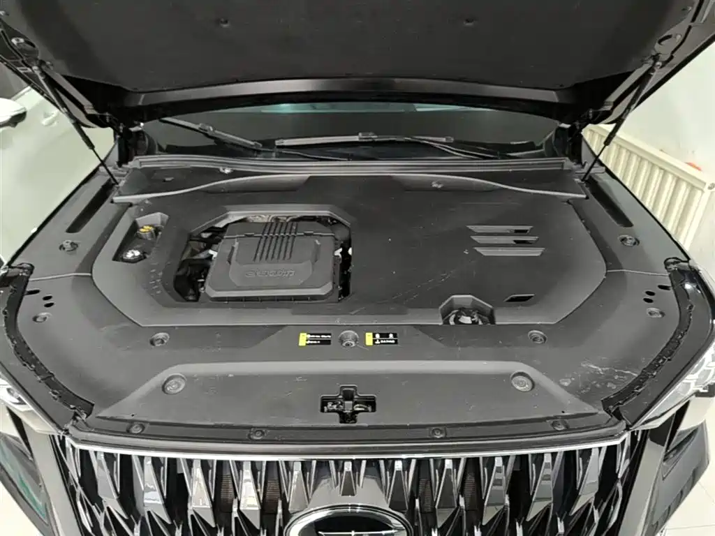 GAC Trumpchi Trumpchi GS8 2022 Dual Engine Series 2.0TM 2WD Premium Edition (7-Seater) фото 20