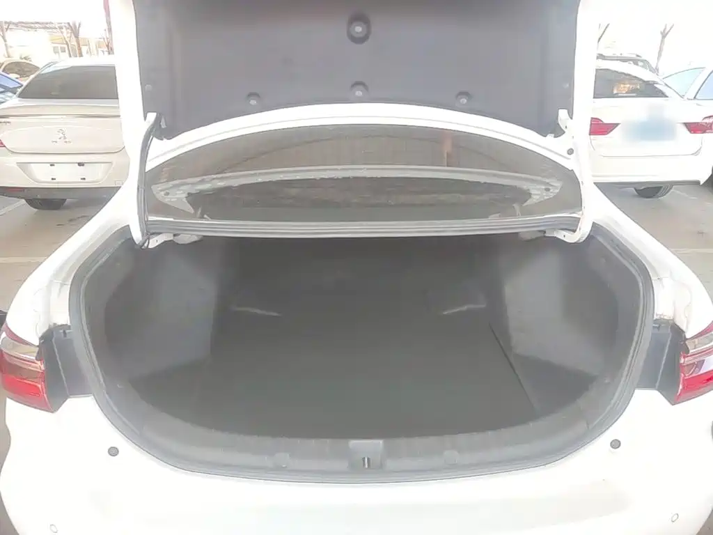 BYD Qin 2020 2019 1.5L Automatic Luxury Edition