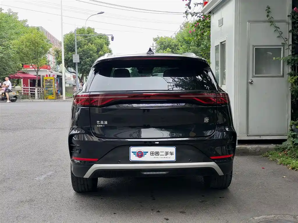 BYD Tang New Energy 2024 Model DM-i Glory Edition 112KM Flagship Type фото 5