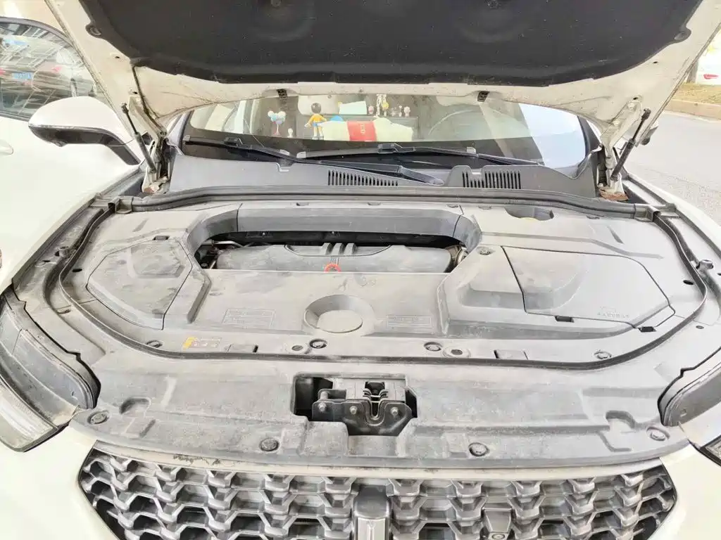 WEY VV5 2020 2020 1.5T 2WD Smart Pioneer