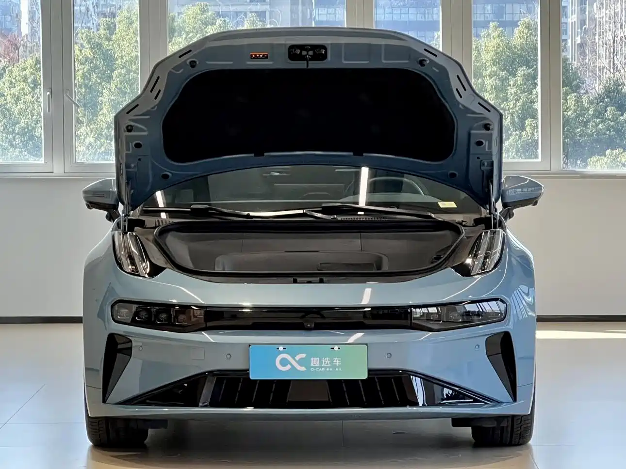 ZEEKR EXTREME KRYPTON 001