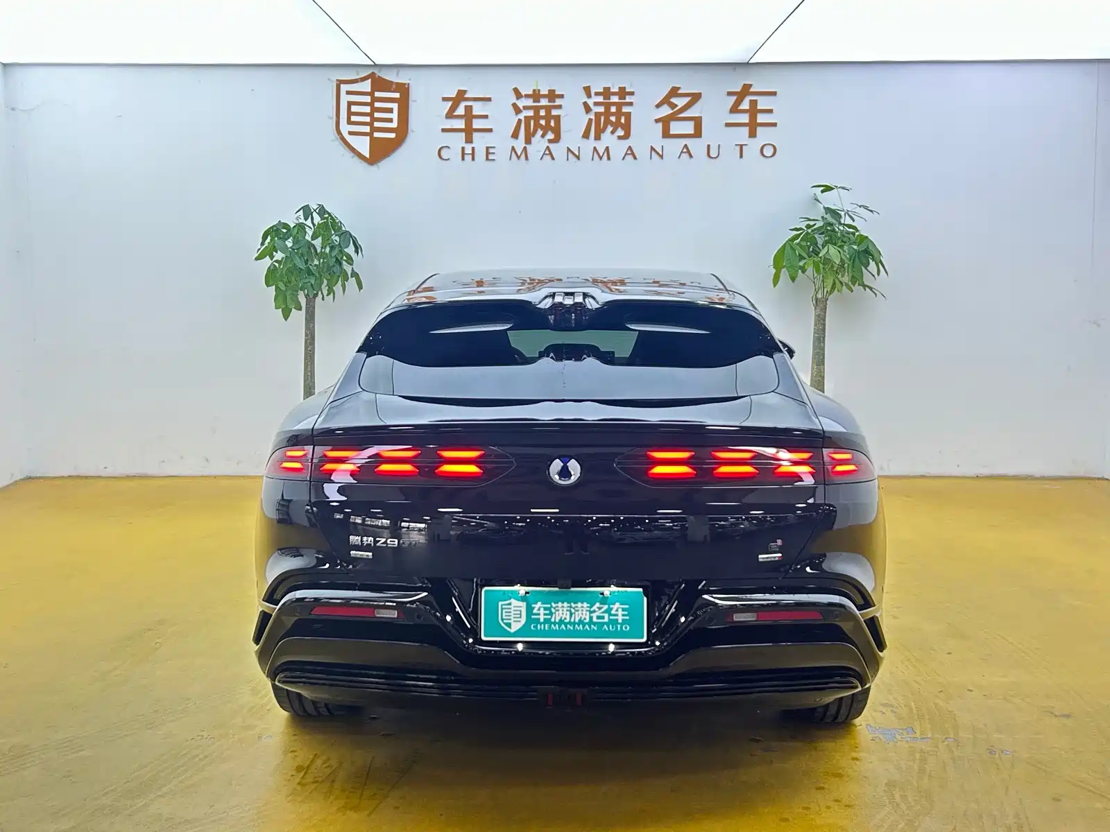 Фото 9 - Denza Z9GT