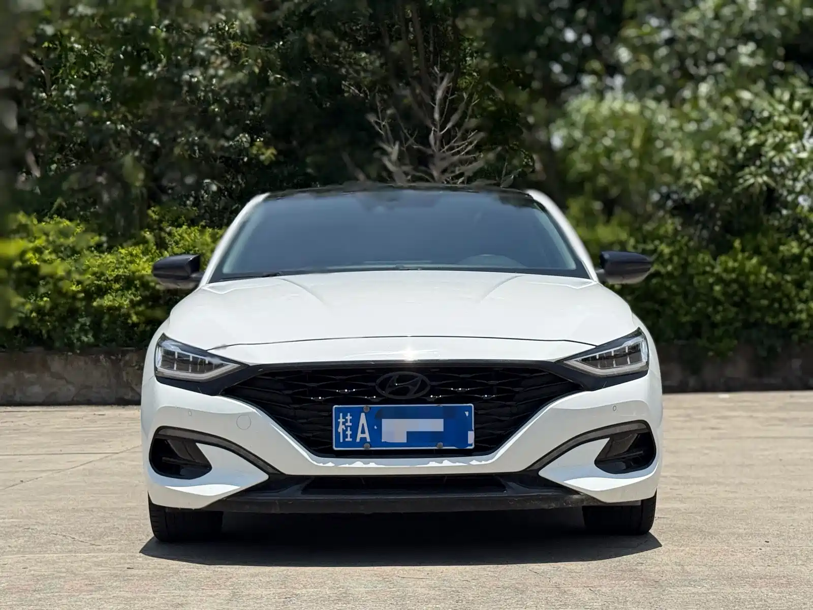 Photo 2 - Hyundai Lafesta
