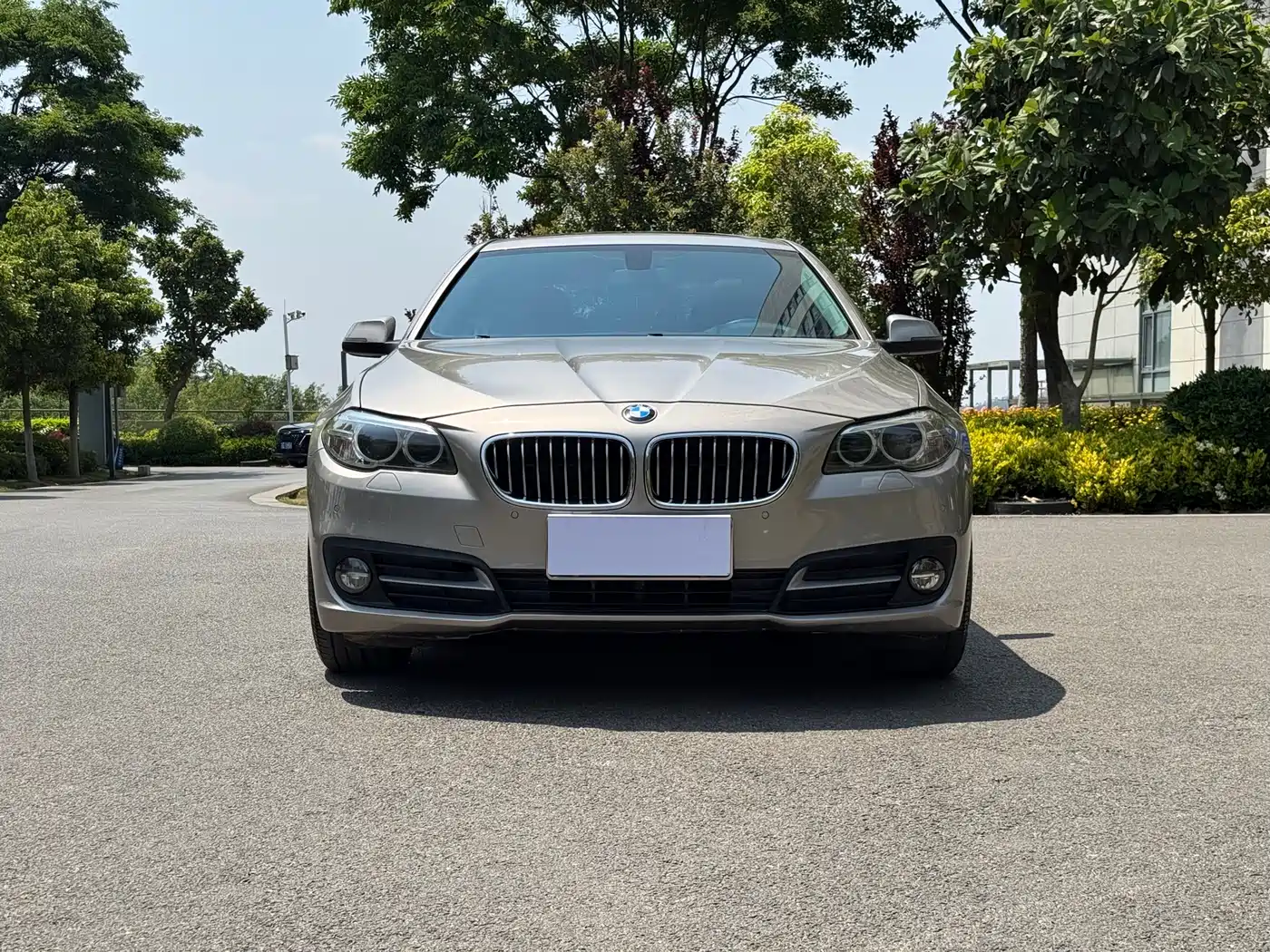 BMW 5 Series 2017 525Li Leading Edition фото 2