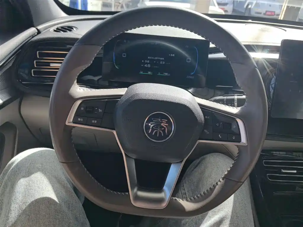 BYD Qin PLUS 2024 Glory Edition DM-i 55KM Leading фото 11