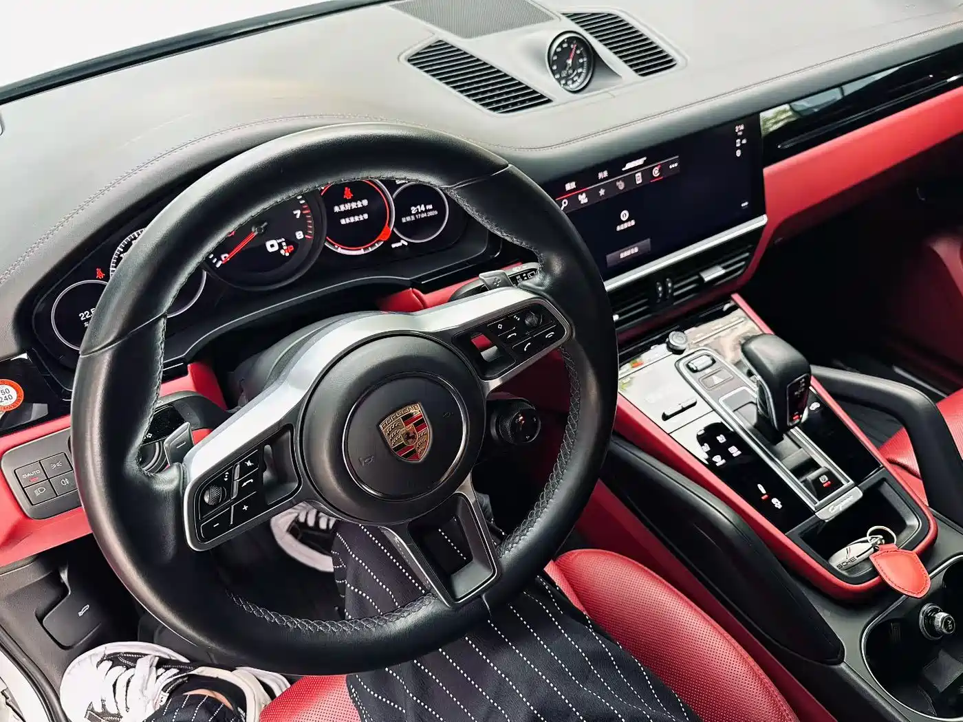 Porsche Cayenne 2022 Cayenne 3.0T Platinum Edition фото 4