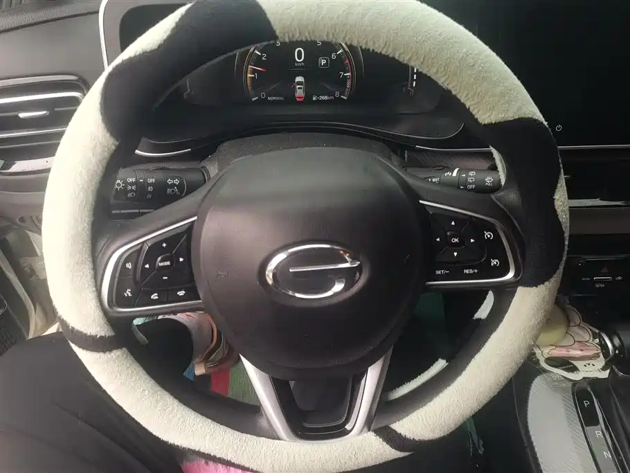 GAC Trumpchi Trumpchi GS3 2022 POWER 270T Auto Premium Edition фото 15