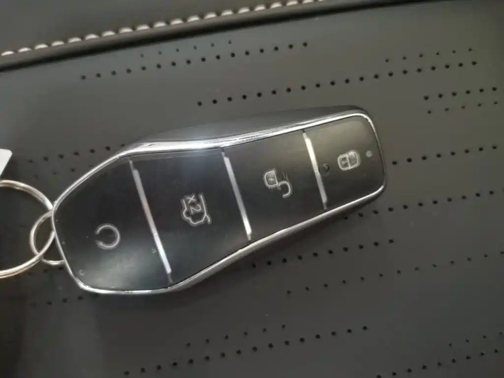 BYD Seagull 2026 2025 Smart Drive Edition 305km Vitality Version