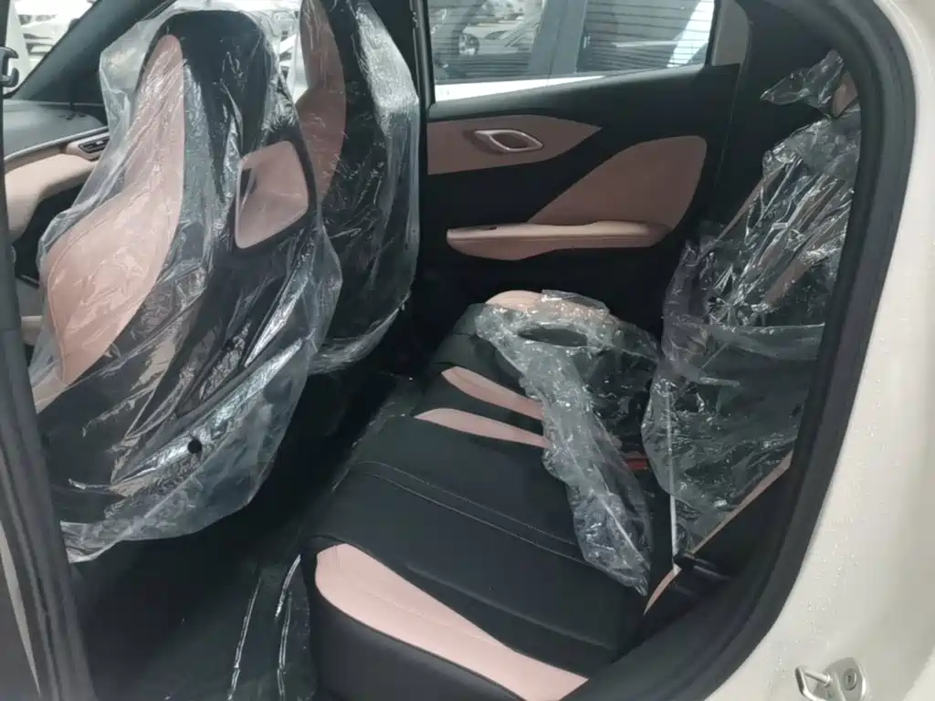 BYD Seagull 2026 2025 Smart Drive Edition 305km Vitality Version