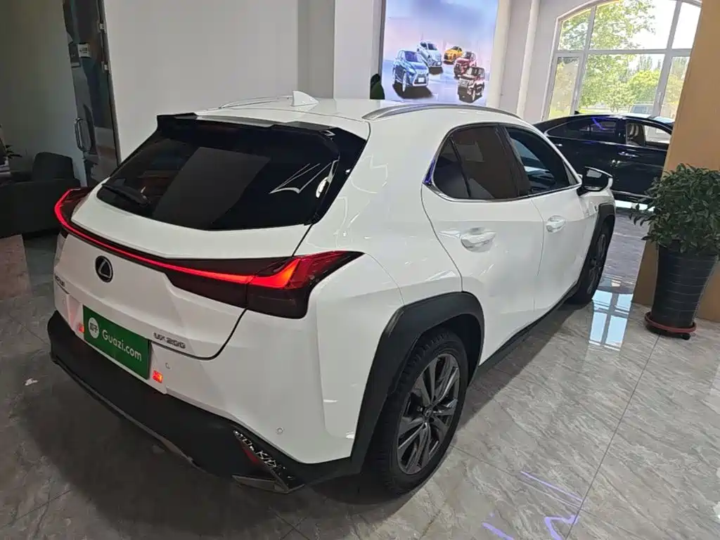 Фото 7 - Lexus UX