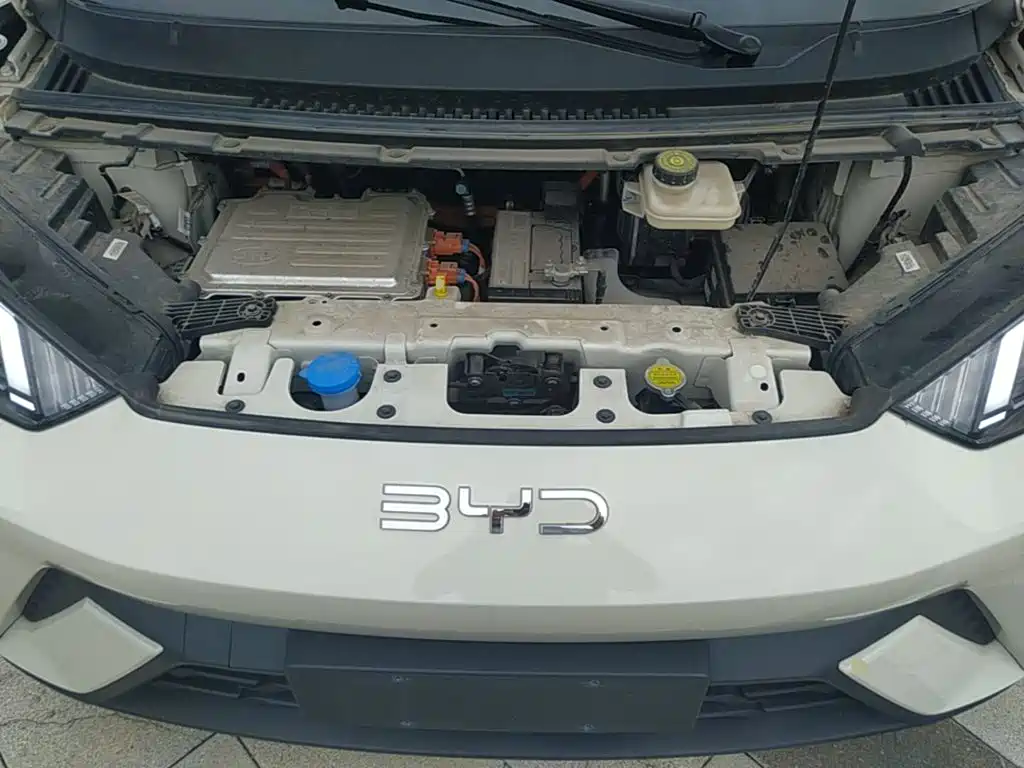 Photo 20 - BYD Seagull