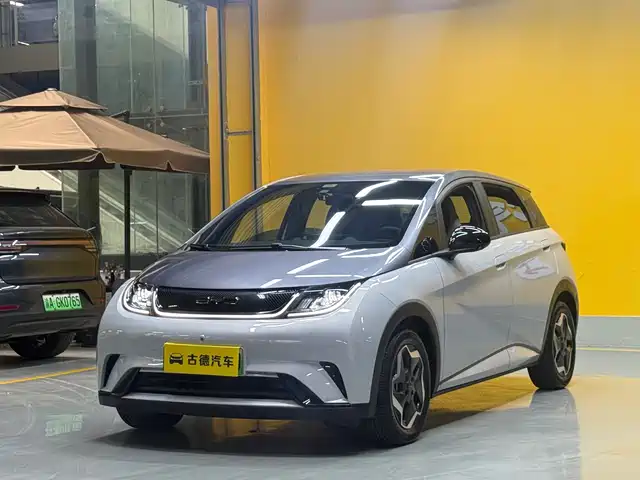 BYD Dolphin 2021 Model 405km Fashion Edition