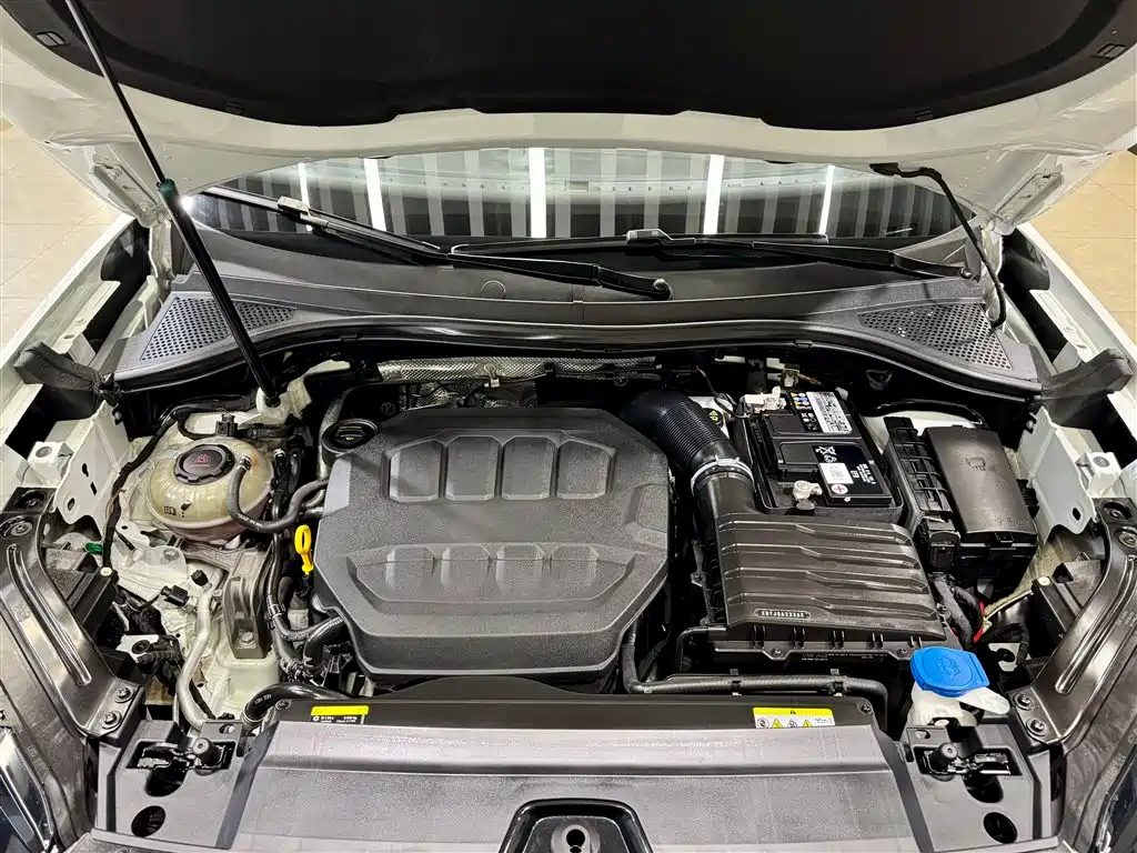 VOLKSWAGEN TANYUE