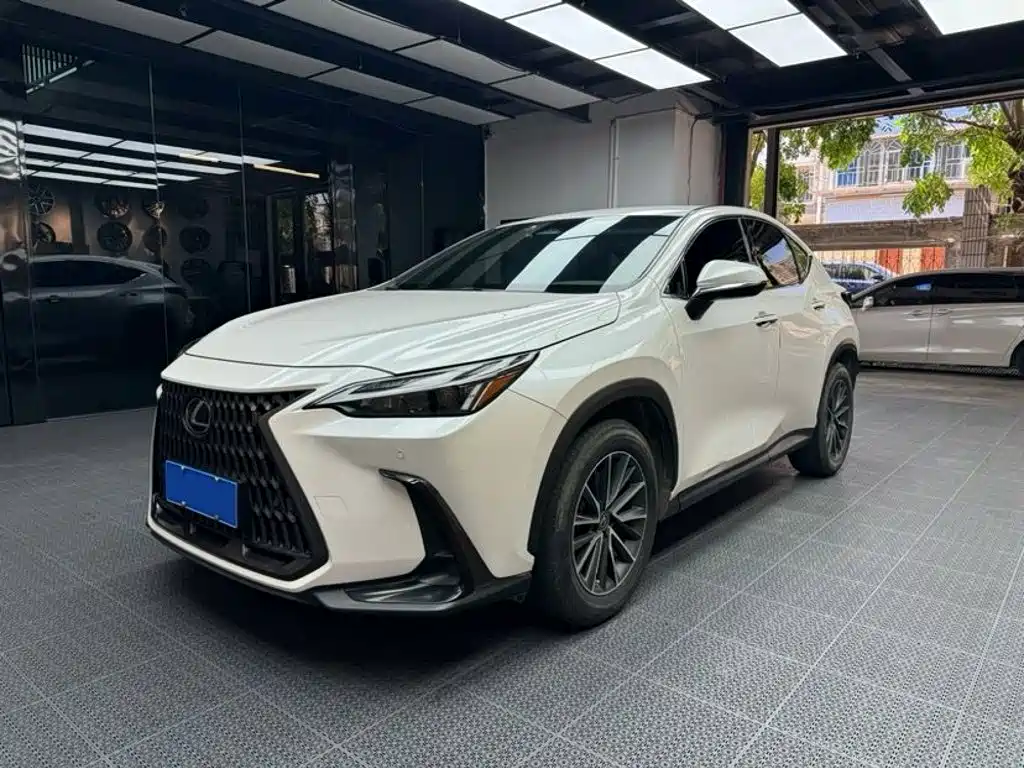 Фото 1 - Lexus NX