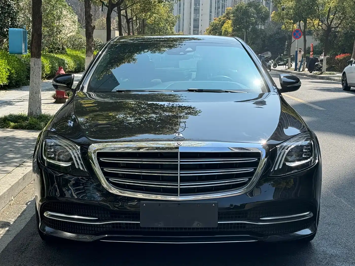 Mercedes-Benz S-Class 2020 S 350 L Business Edition Collector's Version фото 2