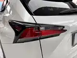 Фото 30 - Lexus NX