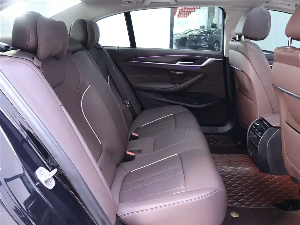 BMW 5 Series 2021 530Li Leading Luxury Package фото 23