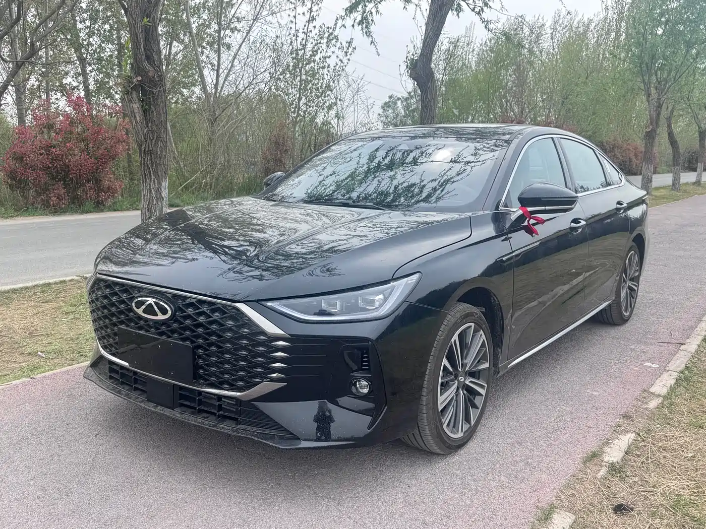 Chery Arrizo 8 PRO 2025 Pro 1.6T Luxury Model+