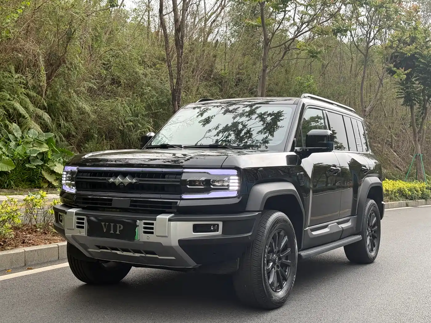 FANG CHENG BAO LEOPARD 5